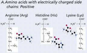 This is produced due to the difference in the electronegativity (the ability of an atom in a chemical bond to pull electrons towards itself) of two or more atoms in a molecule. Chemistry Ii Water And Organic Molecules
