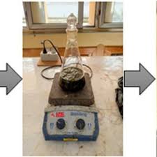 Image result for Discopodium penninervium