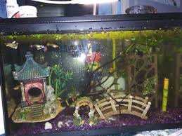 10 Gallon Fish Tank Floating Plants 10 Gallon Fish Tank Bamboo Plants