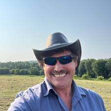 Why did hummingbirds disappear from feeders?