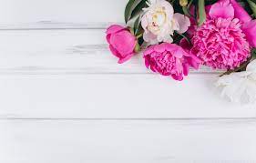 This photo is about wallpaper, wallpapers, zoom backgrounds Wallpaper Flowers Pink White White Wood Pink Flowers Peonies Peonies Images For Desktop Section Cvety Download