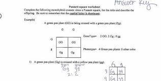 Worksheet key monohybrid cross worksheet answer key, monohybrid cross worksheet answer key and monohybrid cross worksheet answer key are three of main things we want to show you based on the post title. Punnett Square Problems Complete The Following Monohybrid Crosses Draw A Punnett Square List The Brainly Ph