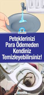 Temizlik bir evin nasıl göründüğünü etkileyen en önemli unsurdur i̇şte sizin için hazırladığımız ev temizliği nasıl yapılır rehberi. Bitki Panosundaki Pin