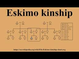 Videos Matching Eskimo Kinship Revolvy