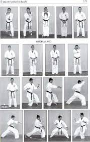 Karate is one of the most popular martial art forms on the planet. Kyokushin Kata Kyokushin Kan Australia