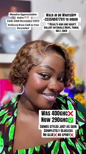 Worldwide Shipping for Glueless Wigs and Braided Wigs