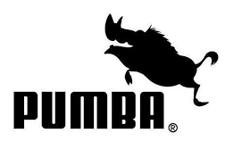 Puma logo, herzogenaurach puma logo cleat, reebok, text, football boot, sneakers png. Fake Puma Logos
