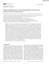 Image result for Monochoria africana