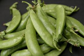 Image result for Pisum sativum