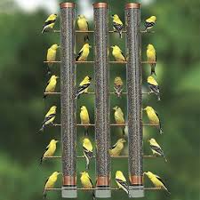 Pin By Shelly Clark On Birds Bird Bird Supplies Diy Bird Feeder