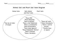 The cell is the fundamental structural unit of all living organisms. 17 Studying School Ideas Plant And Animal Cells Cell Diagram Animal Cell