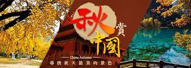 全球賞楓秘境絕景 banner stars life