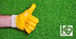 We did not find results for: How To Clean Artificial Grass Blog K9 Artificial Grass Essex