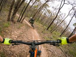 Simply go into the nintendo switch settings, click on seasonal critters and events. Features Archive Flow Mountain Bike Archive Flow Mountain Bike