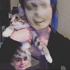 My new kitten Steve French!😻❤️