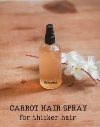 Yes, carrots are beneficial for adding thickness to your hair. Carrot Hair Spray For Thicker Hair The Indian Spot