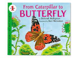 A few days ago we made some homemade play dough, which today we were very happy to turn into a caterpillar which then turned into a butterfly! From Caterpillar To Butterfly Big Book At Lakeshore Learning