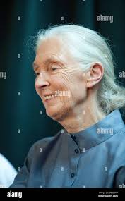 Jane gail hi-res stock photography and images