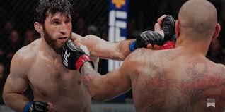 THE PUNCHSPORT REPORT FOR APRIL 2025 - by Carl Cohen