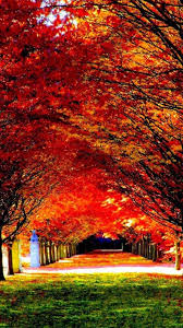 Hd Nature Phone Wallpapers Top Free Hd Nature Phone Backgrounds Wallpaperaccess Free download hd & 4k quality beautiful nature photo wallpapers. hd nature phone wallpapers top free