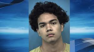 Two WilCo teens accused of sexual assaulting workmate