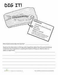 In fact, using your lesson plan in a flexible way is part of the skill involved in giving a good lesson. Fossils Worksheets Dig It 2 4th Grade Science Third Grade Science Lessons Science Classroom