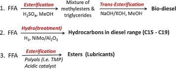 Esterification Of Free Fatty Acids Using Acidic Metal Oxides And Supported Polyoxometalate Pom Catalysts Sciencedirect