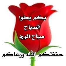 pin by nawal on اللهم بك أصبحنا صباح الورد good morning beautiful flowers beautiful morning pictures good morning wallpaper