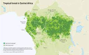 It is home to around 40,000 plant species, nearly 1,300 bird species, 3,000 types of fish, 427 species of mammals, and 2.5 million different insects. Tropical Forest In Central Africa Grid Arendal