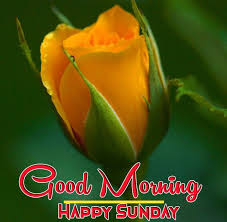 Pin On Good Morning