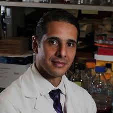 Casey Dempsey (@CaseyD_PharmD)