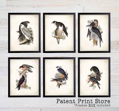 Even in homes with an open layout, where the dining room is part of the kitchen or family room, there's often wall space just waiting for the right pieces of artwork. Falcon Art Prints Falcon Print Set Falcon Art Bedroom Bird Art Bird Prints Dining Room Art Prints Wall Art Farmhouse Decor 158