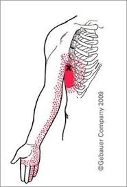 Pin On Health And Fitness