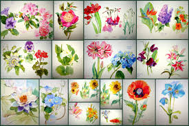 This is a fantastic book for anybody with an interest in watercolor painting, whether they be honing their botanical skills or picking up a brush for the very first time. The Watercolor Flower Painter S A To Z By Adelene Fletcher Watercolor Journal