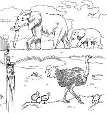 Check spelling or type a new query. Zoo Coloring Pages