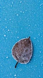 Iphonex Iphone Apple Free Apk Android Images Background لون ازرق خلفية للهاتف صور الالوان صور م Leaf Wallpaper Phone Wallpaper Patterns Blue Wallpaper Iphone