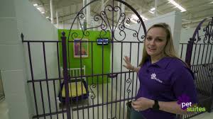 Maybe you would like to learn more about one of these? Homepage Petsuites Middletown
