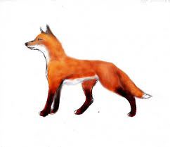 Then draw the beard on your face, as well as your eye and smile. Red Fox Sketch By Dukesketches On Deviantart