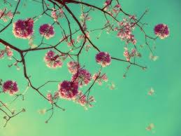 How did arizona iced tea's aesthetic become essential to meme culture? 48 Arizona Green Tea Wallpaper On Wallpapersafari