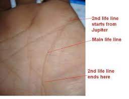 Know Your Future Double Life Line Life Line Palmistry Double Life Know Your Future