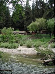 Fern River Resort Felton California Featuring Access To The Private River Beach This Felton Resort Is 8 Miles A Santa Cruz Beach Boardwalk Santa Cruz Resort