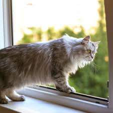 32x80 inch.【how to choose suitable size: Cat Proof Window Screen Magnetic Flyscreens Germany