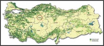 Looking for the definition of ogm? Forest Cover In Turkey Ogm 2017 The Place That Is Shown In A Download Scientific Diagram