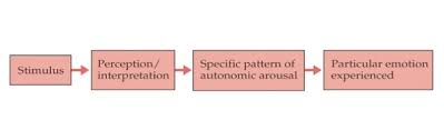 Theories Of Emotion Boundless Psychology