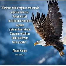 Kartallar Yuksekten Ucar Bu Arada Her Kusun Kendi Cinsiyle Uctugunu Da Hatirlatmak Isterim Kimlerle Uctugunuza Dikkat Edin Kus Kartal Gercekler