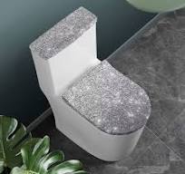 Amazon.com: Darisoco Silver Toilet Lid Seat Cover & Toilet ...