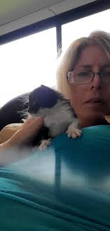 Looking for a foster for this precious mom to be.