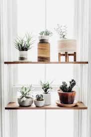 Check spelling or type a new query. Prediction You Re Going To Love These 6 Plant Filled Kitchen Window Ideas As Much As We Do Hunker