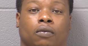 Joliet man charged with defrauding Paycheck Protection Program with dog  breeder business