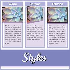 Totally restickable or repositionable wall. The Stupell Home Decor Collection Watercolor Cutout Collage Turtle Wall Plaque Art Multicolor 10 X 15 Electronics Laptops Urbytus Com
